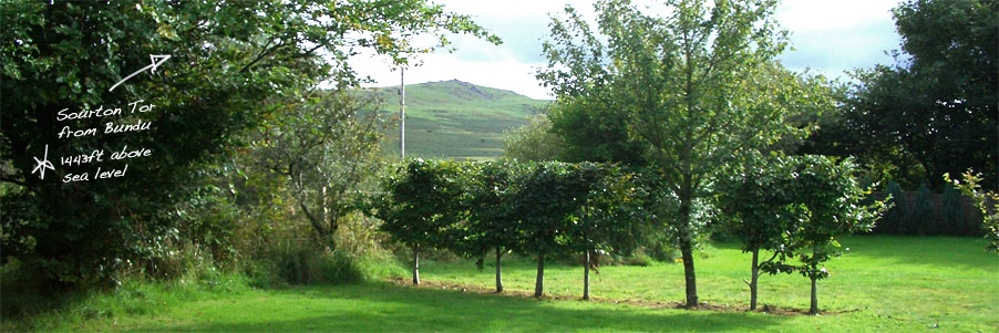 pic1