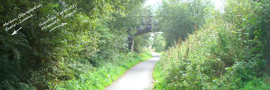 pic3